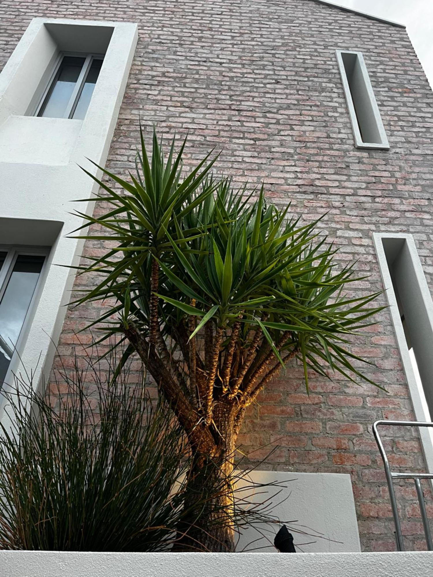 The Windhoek Luxury Suites Экстерьер фото