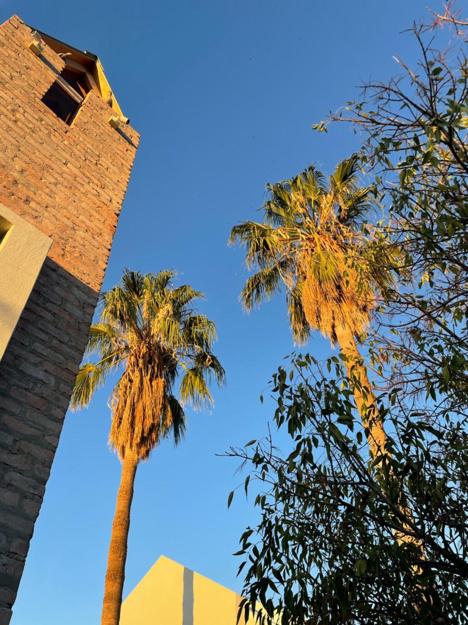 The Windhoek Luxury Suites Экстерьер фото